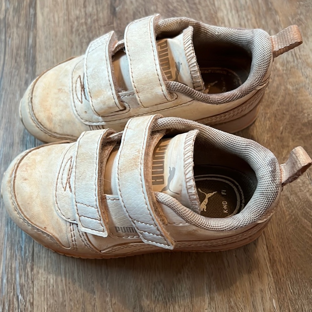 Size 7 Pumas